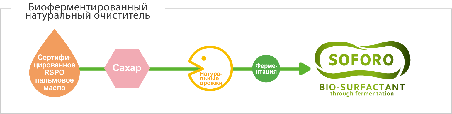 Эта диаграмма показывает, как создается Soforo. Сахар и пальмовое масло, сертифицированное RSPO, потребляются дрожжами, и в процессе ферментации получается био-поверхностно-активный компонент софоро.