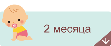 2 месяца