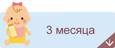 3 месяца