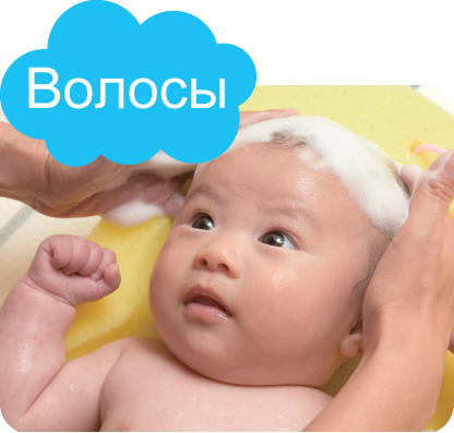 Массирующими движениями помойте кожу головы. Не забудьте про уши и затылок.